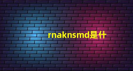 rnaknsmd是什么牌子衣服 Rnaknsmd什么意思